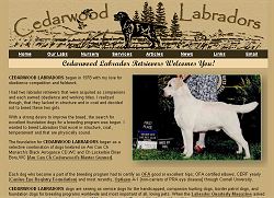 Cedarwood Labrador Retrievers