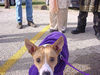 Click for enlarged Version!